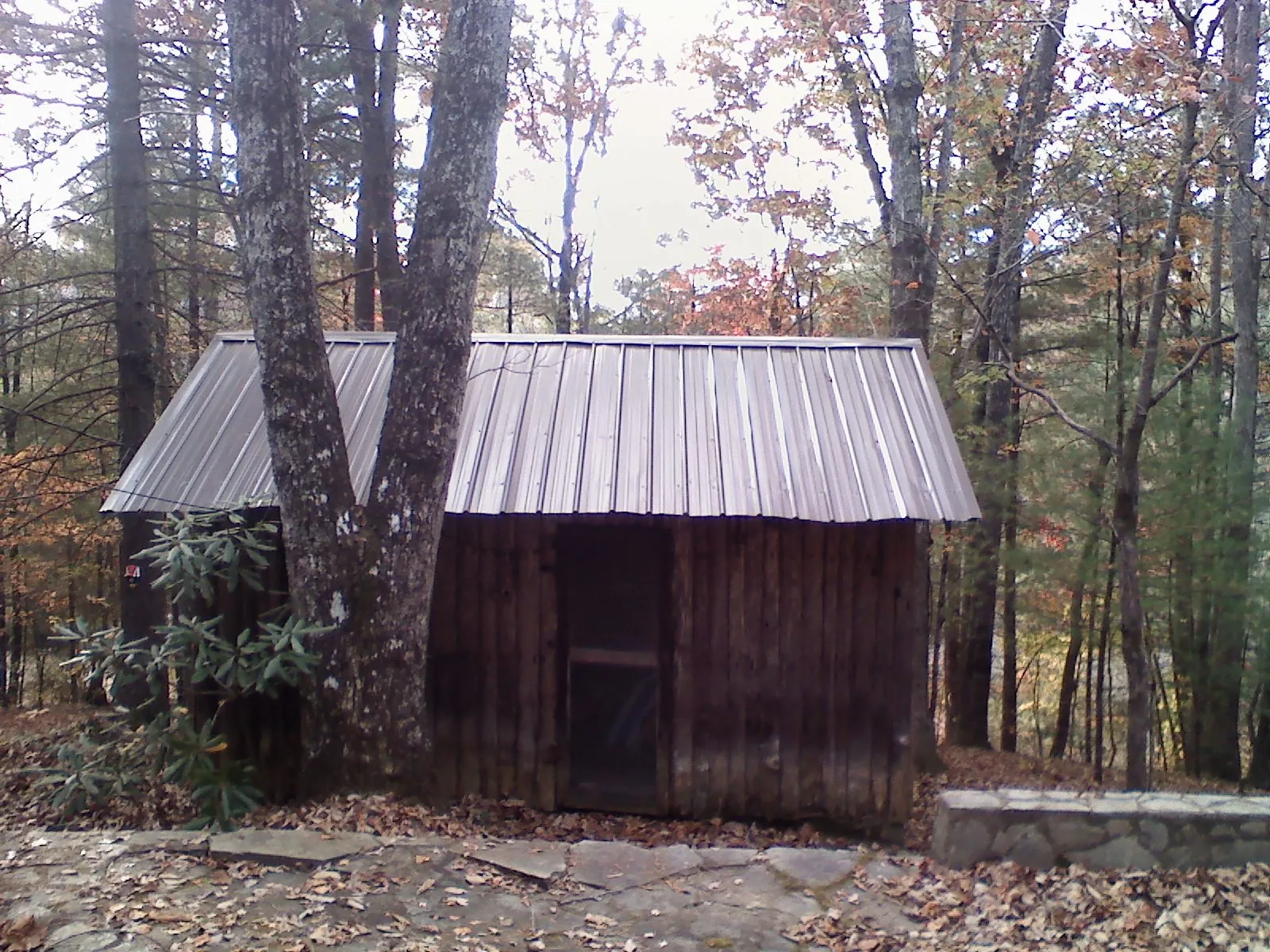 New metal gable roof on a small log shed among the trees in Keenesburg